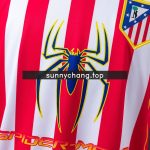 Atletico Madrid 04/05 Home Long Sleeve Retro Jersey - 图片 5