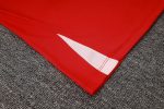 Atletico Madrid 23-24 Red Vest - 图片 4