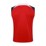 Atletico Madrid 23-24 Red Vest - 图片 7