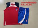 Atletico Madrid 23-24 Red Vest - 图片 9