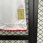 25/26 Osasuna Third Away Shirt - 图片 6