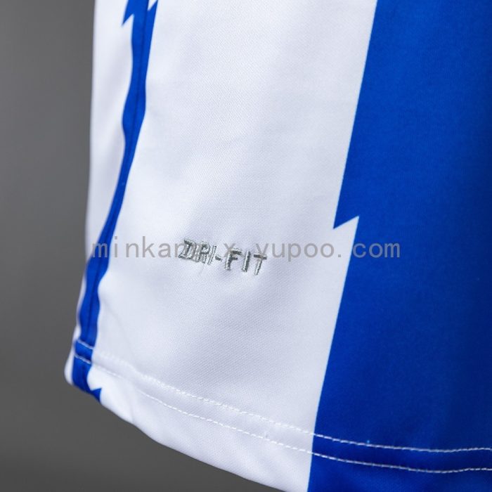 Deportivo Alavés 2011/12 Home Retro Jersey - 图片 4