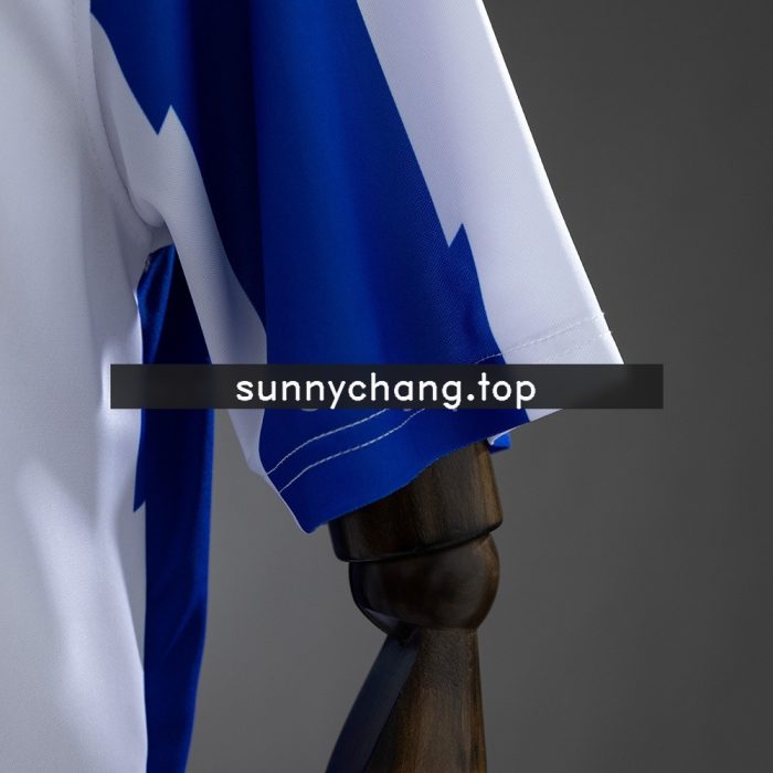 Deportivo Alavés 2011/12 Home Retro Jersey - 图片 6