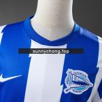 Deportivo Alavés 2011/12 Home Retro Jersey - 图片 9