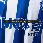 Deportivo Alavés 25/26 Home Jersey - 图片 7