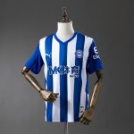 Deportivo Alavés 25/26 Home Jersey - 图片 9