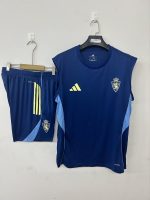 Zaragoza 25/26 Training Suit Royal Blue - 图片 3
