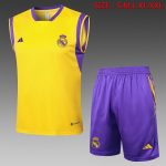 Real Madrid 23-24 Yellow Vest