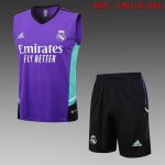 Real Madrid 23/24 Purple Vest
