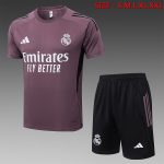 Real Madrid Gray Purple Short Sleeve Training Suit