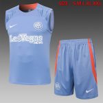 Inter Milan 24/25 Vest Light Gray