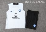Inter Milan 23/24 Light Blue Vest - 图片 2