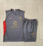 AC Milan 24-25 Vest Grey - 图片 2