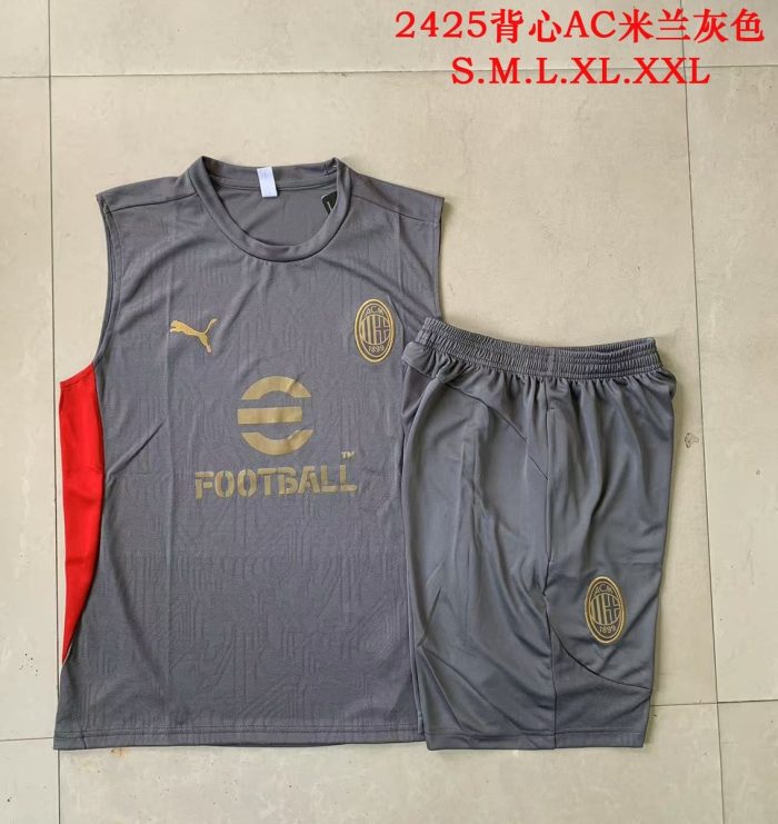 AC Milan 24-25 Vest Grey - 图片 3