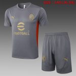 AC Milan 24-25 Grey Short Sleeve Training Shirt