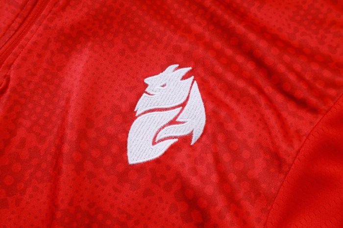 AC Milan 25/26 Half-Zip Red Spray Print - 图片 6