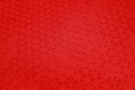 AC Milan 23-24 Half-Zip Red Ink (White Logo) - 图片 4