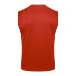 AC Milan 23-24 Red Vest - 图片 7