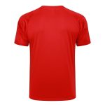 AC Milan 23-24 Red Short Sleeve Training Suit with 5-Panel Shorts - 图片 7