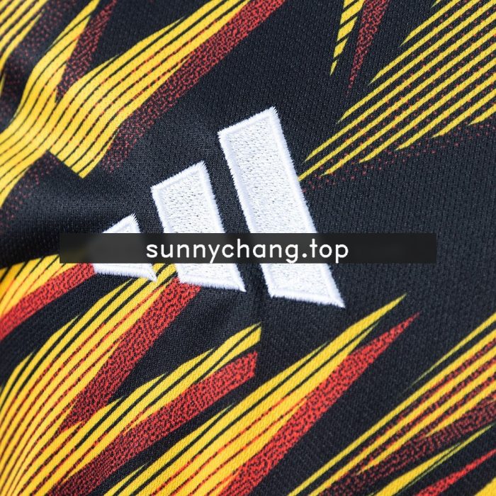 Roma 25/26 Pre-Match Jersey - 图片 4