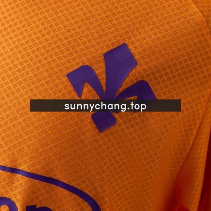 Fiorentina 25/26 Third Away Jersey - 图片 8