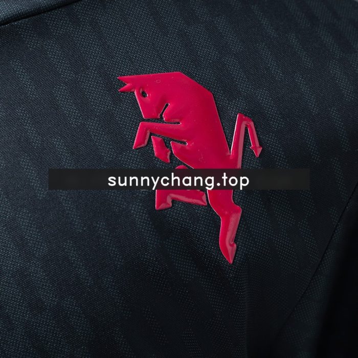 Torino 25/26 Third Away Jersey - 图片 7