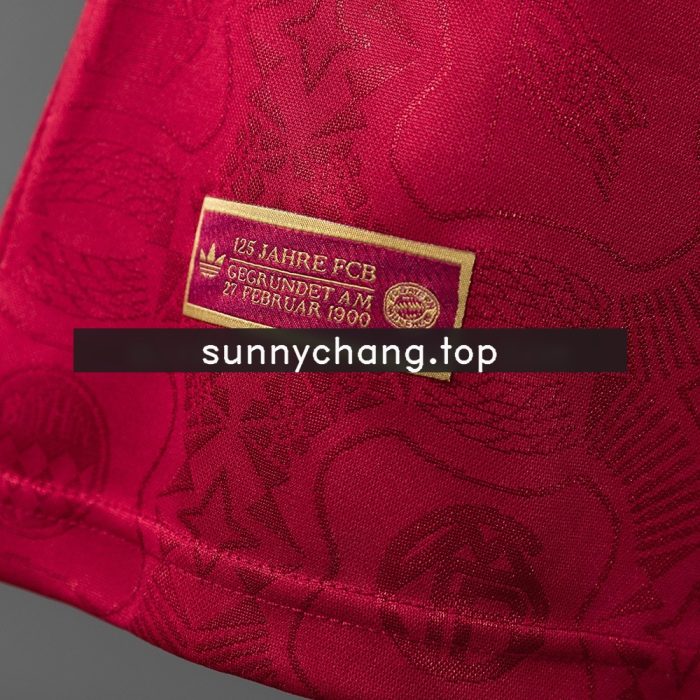 Bayern Munich 25/26 125th Anniversary Long-sleeved Player Version - 图片 5