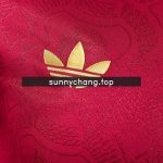Bayern Munich 25/26 125th Anniversary Long-sleeved Player Version - 图片 7