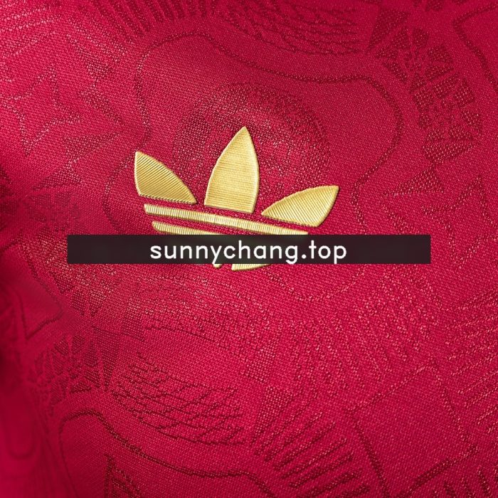 Bayern Munich 25/26 125th Anniversary Long-sleeved Player Version - 图片 7