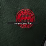 Bayern Munich 25/26 Polo - Dark Green - 图片 6
