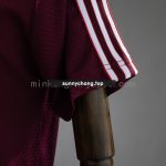Bayern Munich 25/26 Polo - Maroon - 图片 4