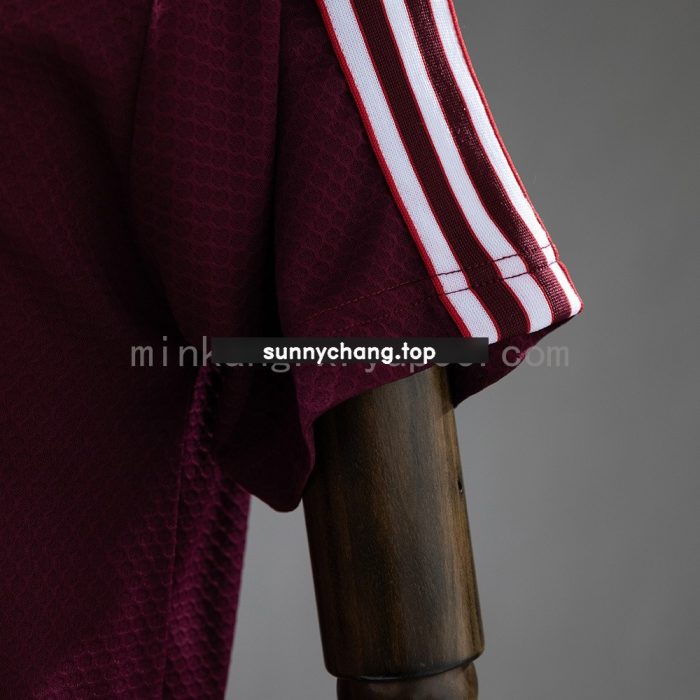 Bayern Munich 25/26 Polo - Maroon - 图片 4