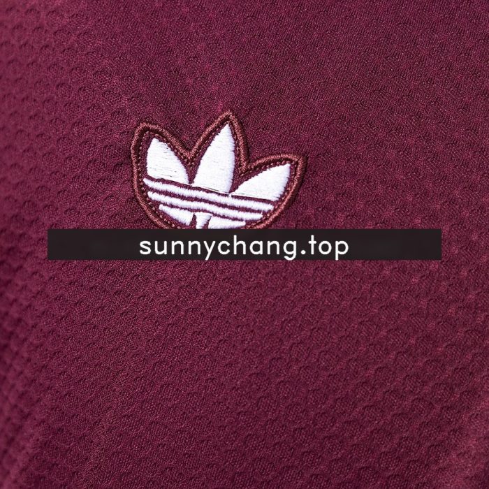 Bayern Munich 25/26 Polo - Maroon - 图片 5
