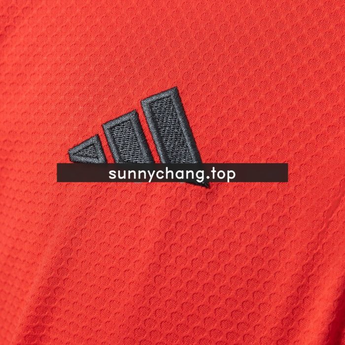 Bayern Munich 25/26 Polo - Red - 图片 5