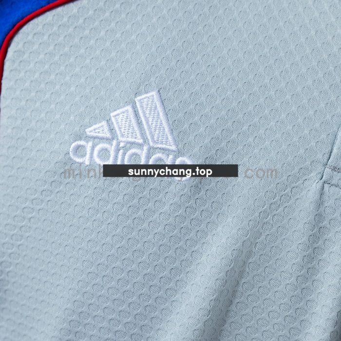 Bayern Munich 25/26 Polo Shirt - Grey - 图片 5