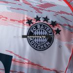 Bayern Munich 25/26 Away Jersey - 图片 5