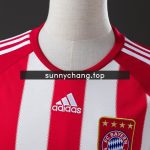 Bayern Munich 2010/11 Home Retro Shirt S-XXL - 图片 7