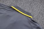 Borussia Dortmund 23-24 Grey Polo - 图片 3