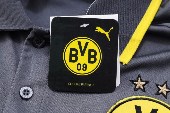 Borussia Dortmund 23-24 Grey Polo - 图片 4
