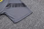 Borussia Dortmund 23-24 Grey Polo - 图片 5