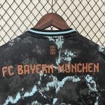 Bayern Munich 24/25 Away Jersey - 图片 6