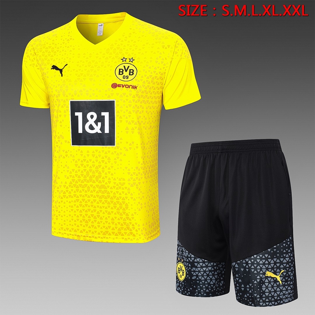 Borussia Dortmund 23-24 Yellow Short Sleeve Training Shirt