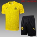 Borussia Dortmund 24-25 Yellow Short Sleeve Training Shirt