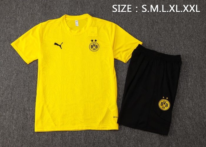 Borussia Dortmund 24-25 Yellow Short Sleeve Training Shirt - 图片 2