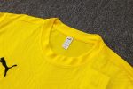 Borussia Dortmund 24-25 Yellow Short Sleeve Training Shirt - 图片 6