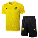 Borussia Dortmund 24-25 Yellow Short Sleeve Training Shirt - 图片 8