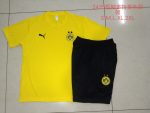 Borussia Dortmund 24-25 Yellow Short Sleeve Training Shirt - 图片 9