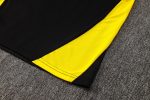 Borussia Dortmund 24-25 Black Short Sleeve Training Shirt - 图片 3