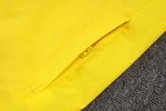 Borussia Dortmund 24/25 Windbreaker Yellow - 图片 4