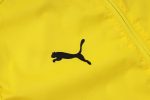 Borussia Dortmund 24/25 Windbreaker Yellow - 图片 5